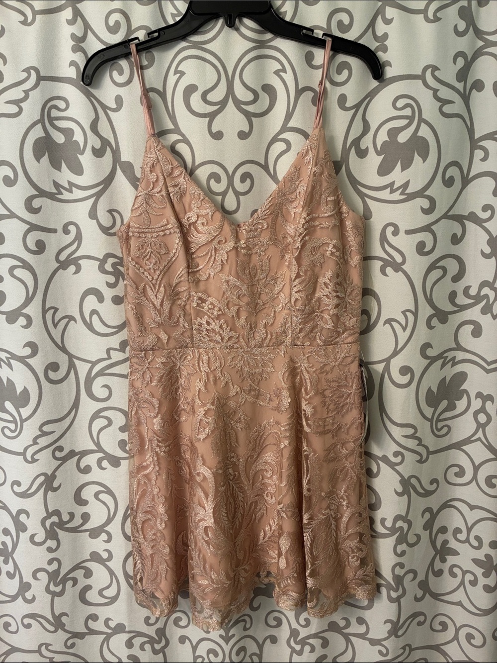 Speechless Blush Pink Lace Mini Dress